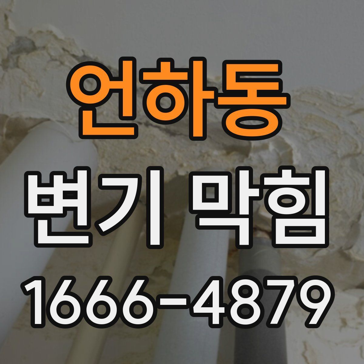 언하동 변기 막힘