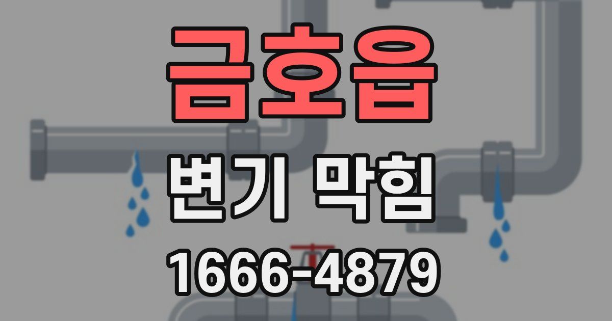 금호읍 변기 막힘
