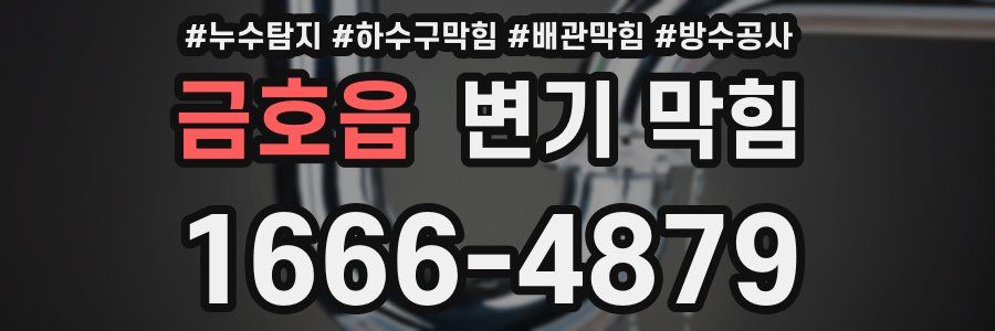 금호읍 변기 막힘