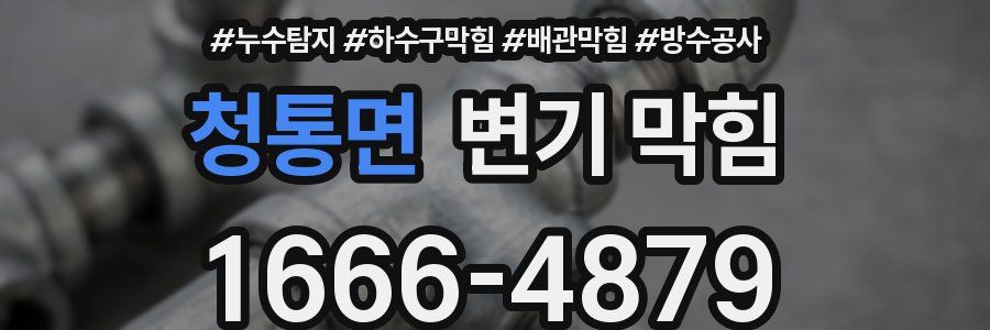 청통면 변기 막힘
