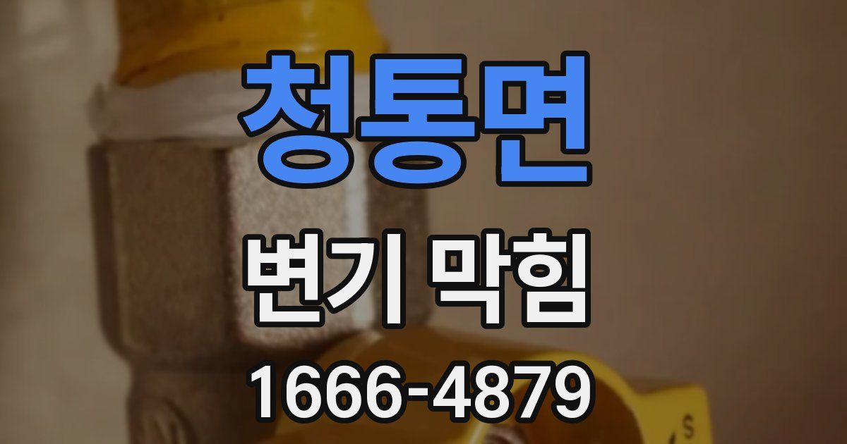 청통면 변기 막힘