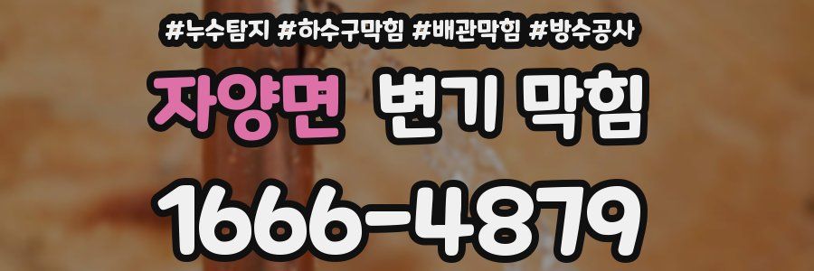 자양면 변기 막힘