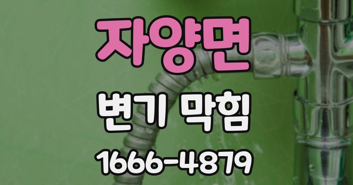 자양면 변기 막힘