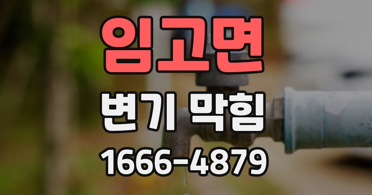 임고면 변기 막힘