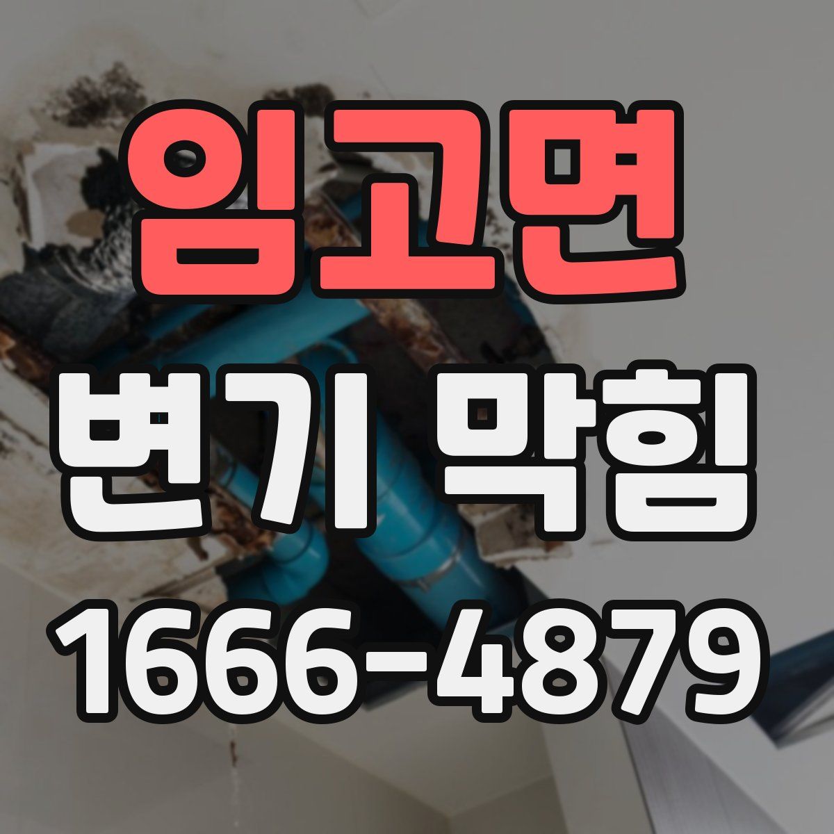 임고면 변기 막힘