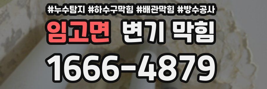 임고면 변기 막힘