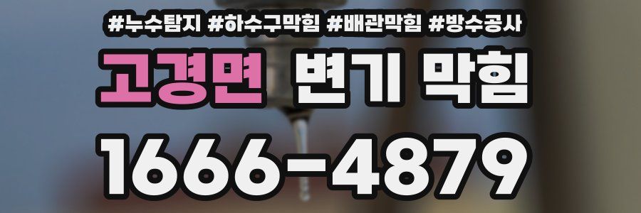 고경면 변기 막힘
