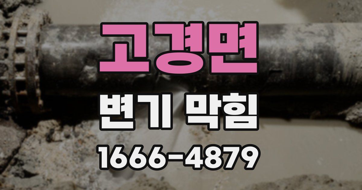 고경면 변기 막힘