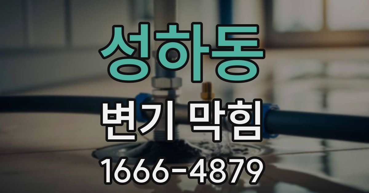 성하동 변기 막힘