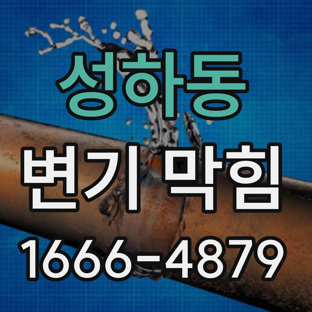 성하동 변기 막힘