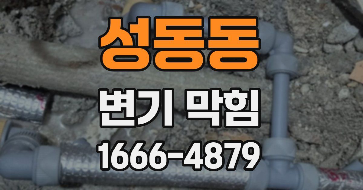 성동동 변기 막힘