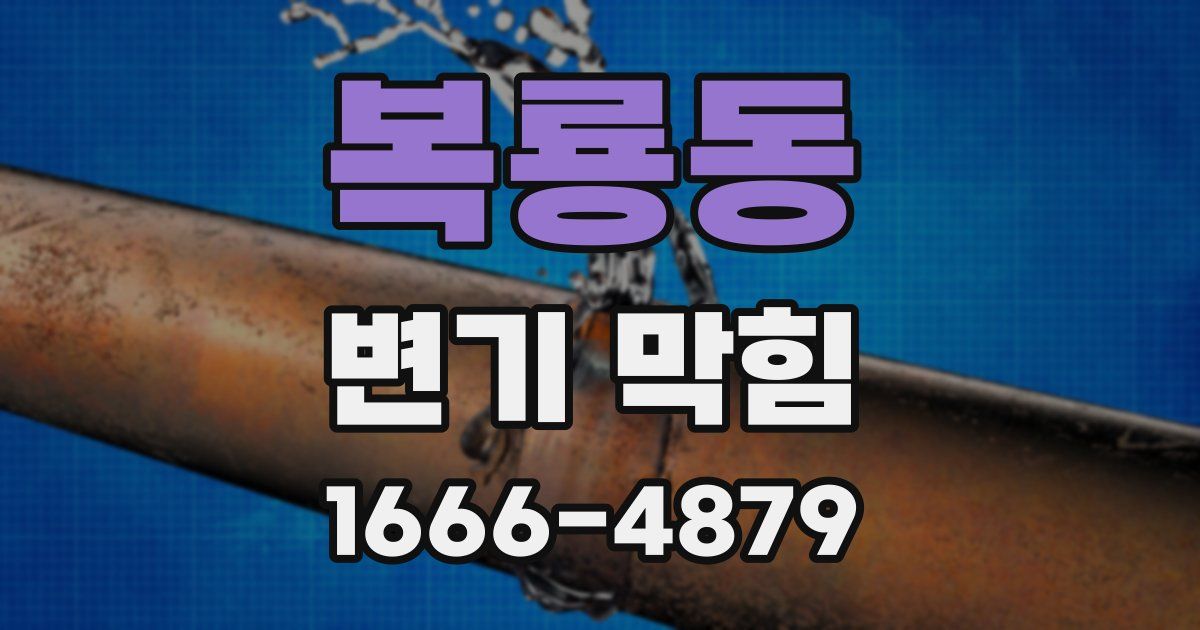 복룡동 변기 막힘