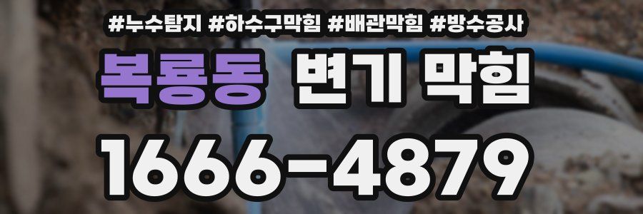복룡동 변기 막힘