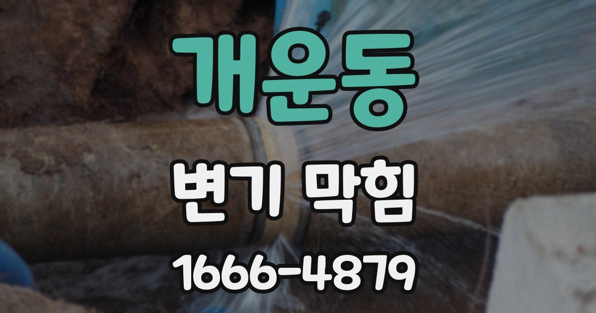 개운동 변기 막힘