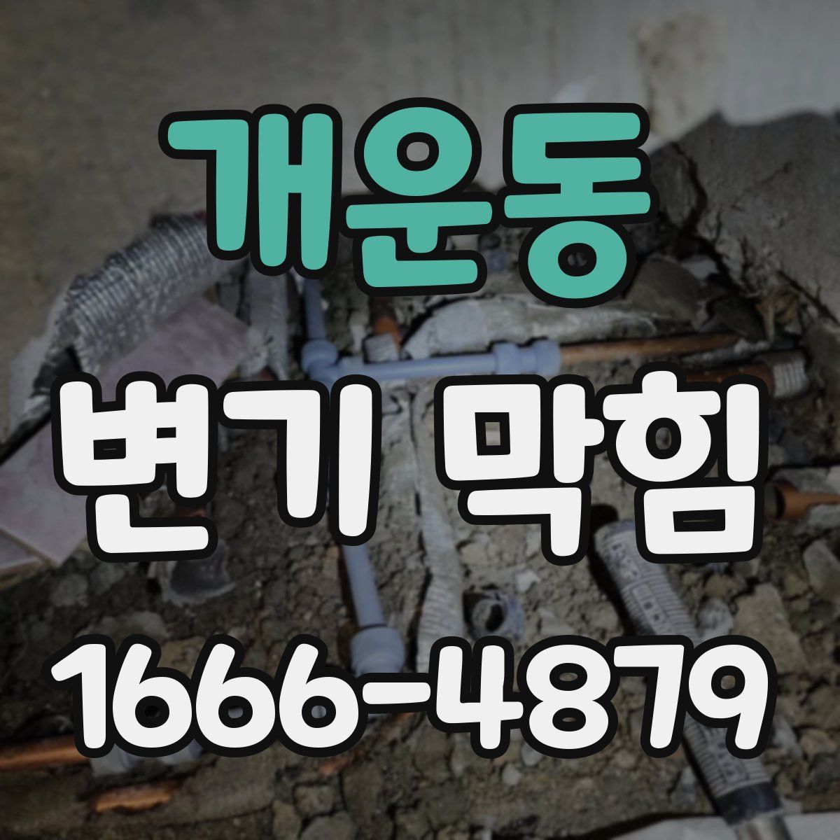 개운동 변기 막힘