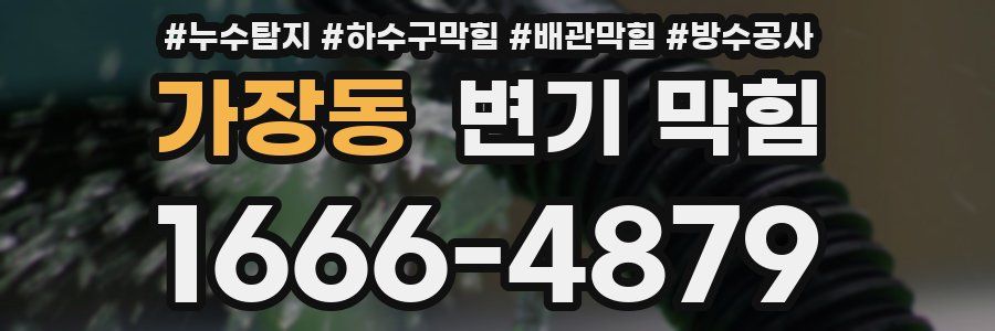 가장동 변기 막힘