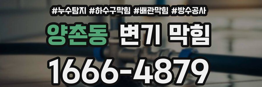 양촌동 변기 막힘