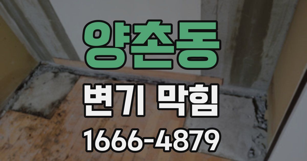 양촌동 변기 막힘
