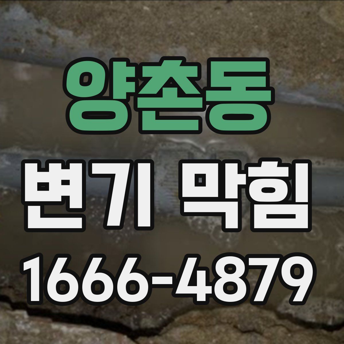 양촌동 변기 막힘