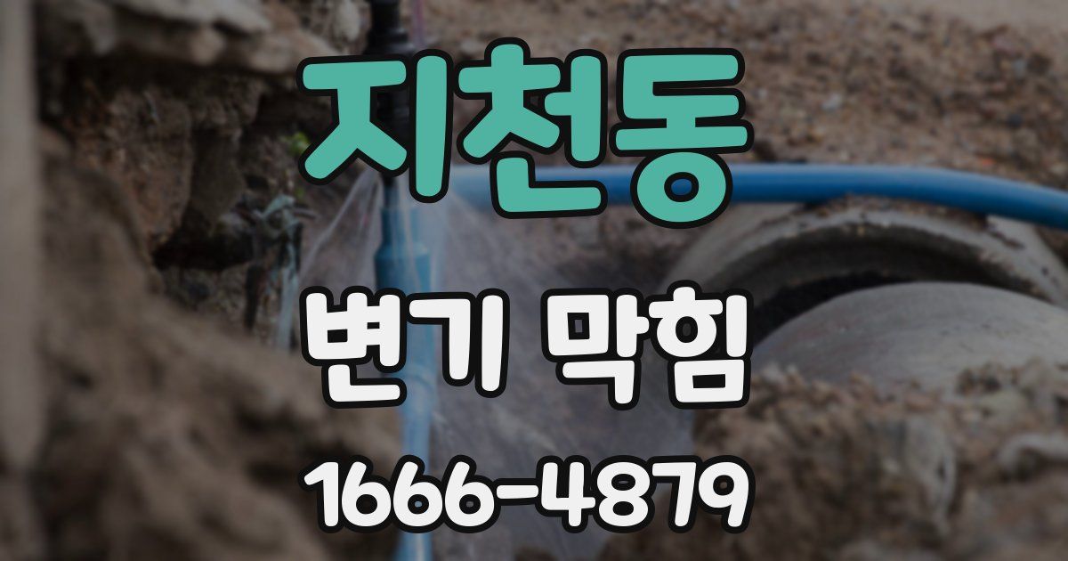 지천동 변기 막힘