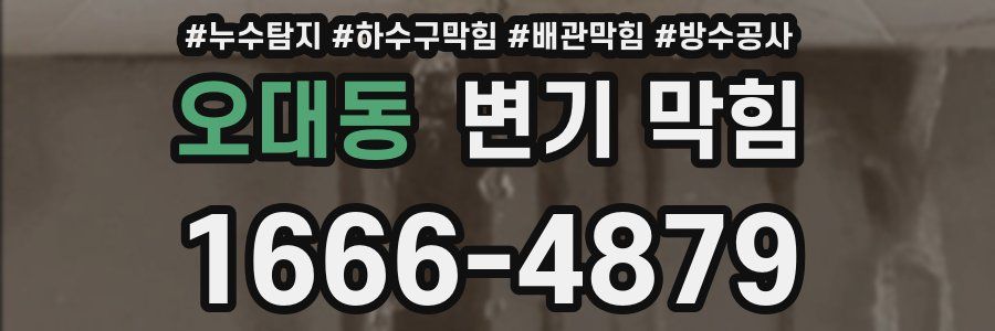 오대동 변기 막힘