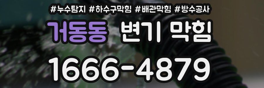 거동동 변기 막힘