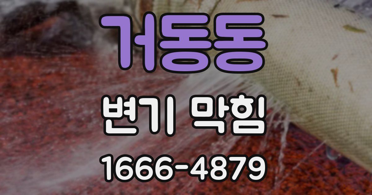 거동동 변기 막힘