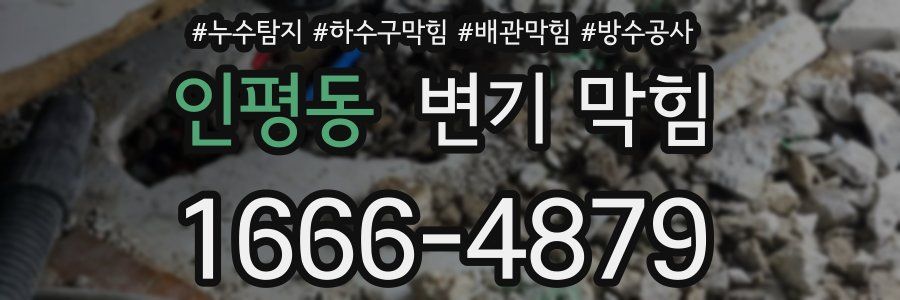 인평동 변기 막힘