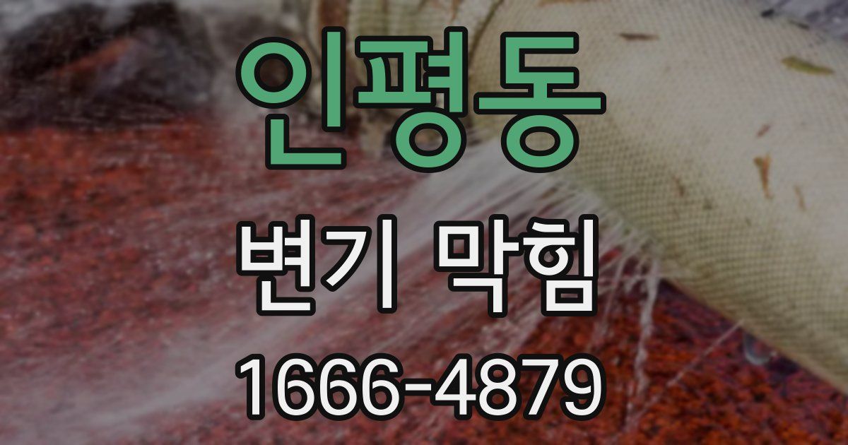 인평동 변기 막힘
