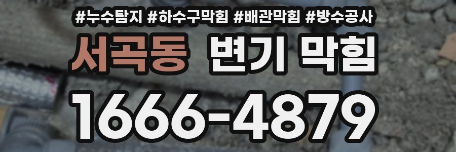 서곡동 변기 막힘