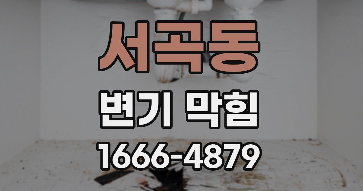 서곡동 변기 막힘