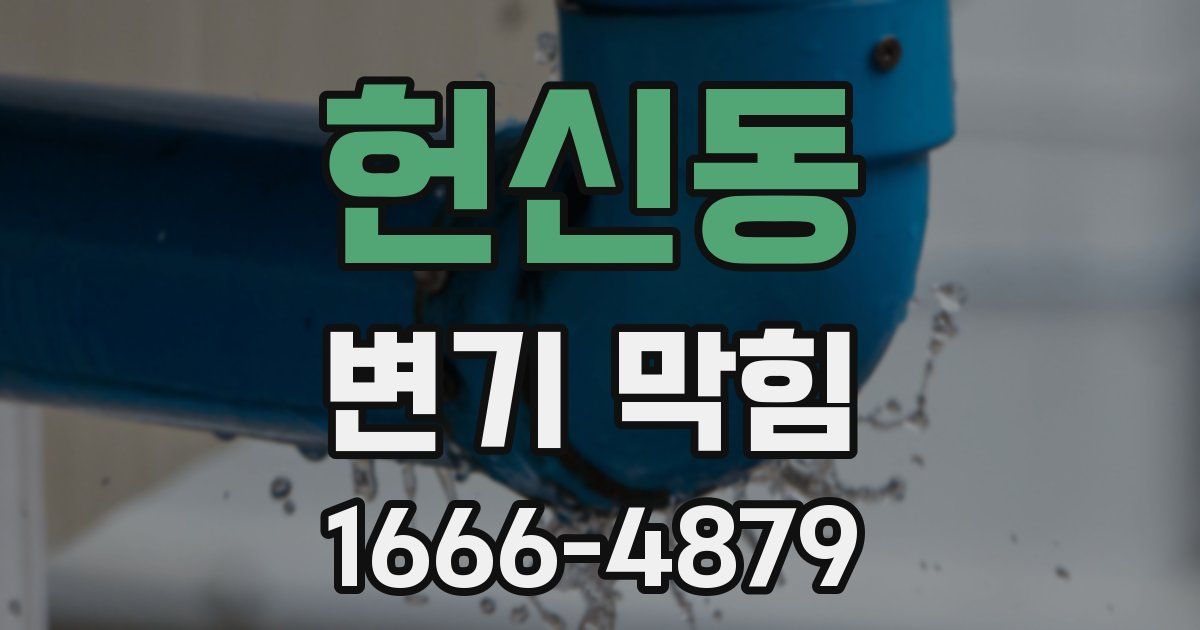 헌신동 변기 막힘