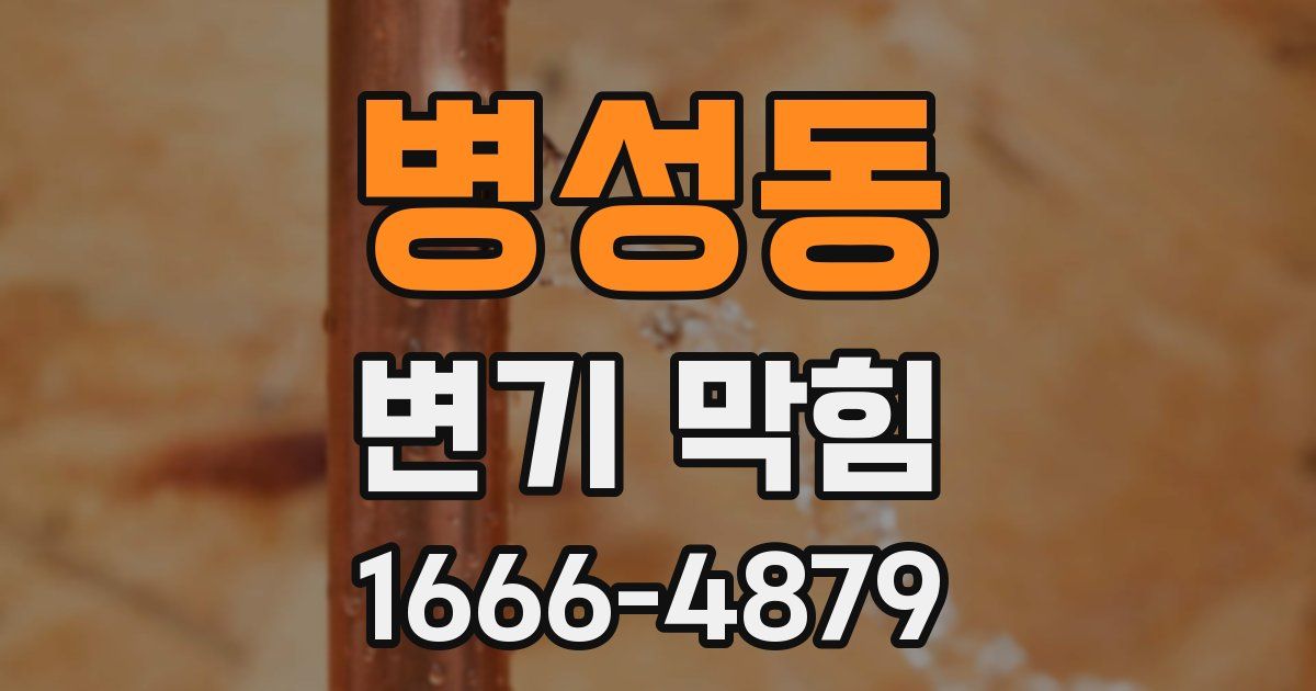 병성동 변기 막힘
