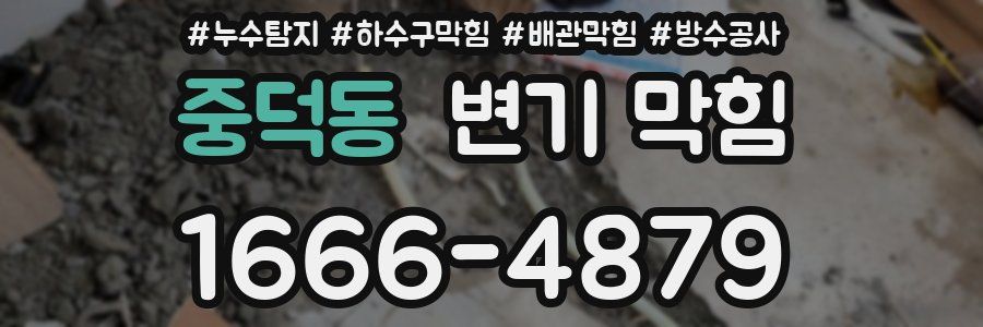 중덕동 변기 막힘