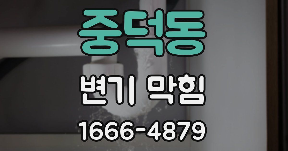중덕동 변기 막힘