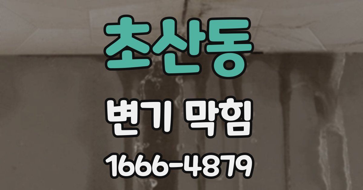 초산동 변기 막힘