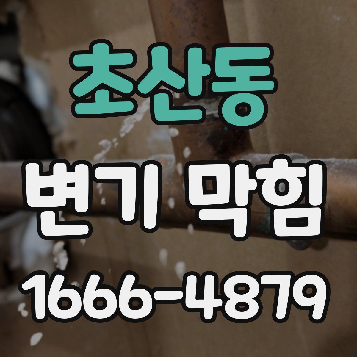 초산동 변기 막힘