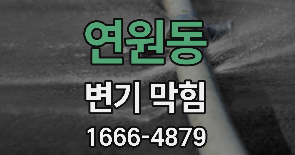 연원동 변기 막힘