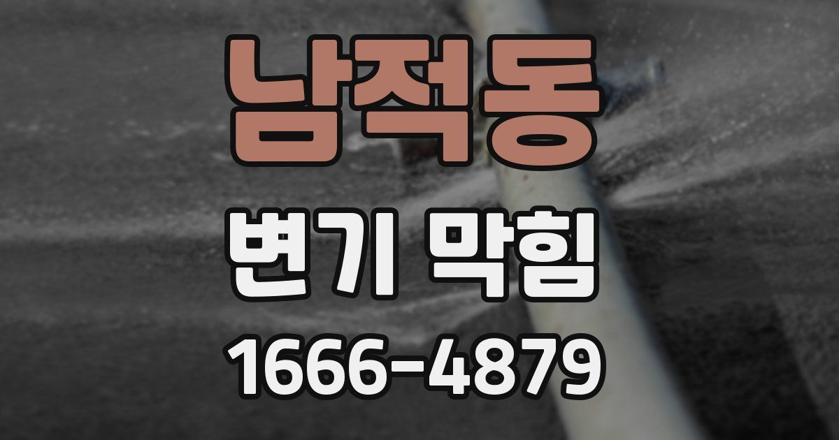 남적동 변기 막힘