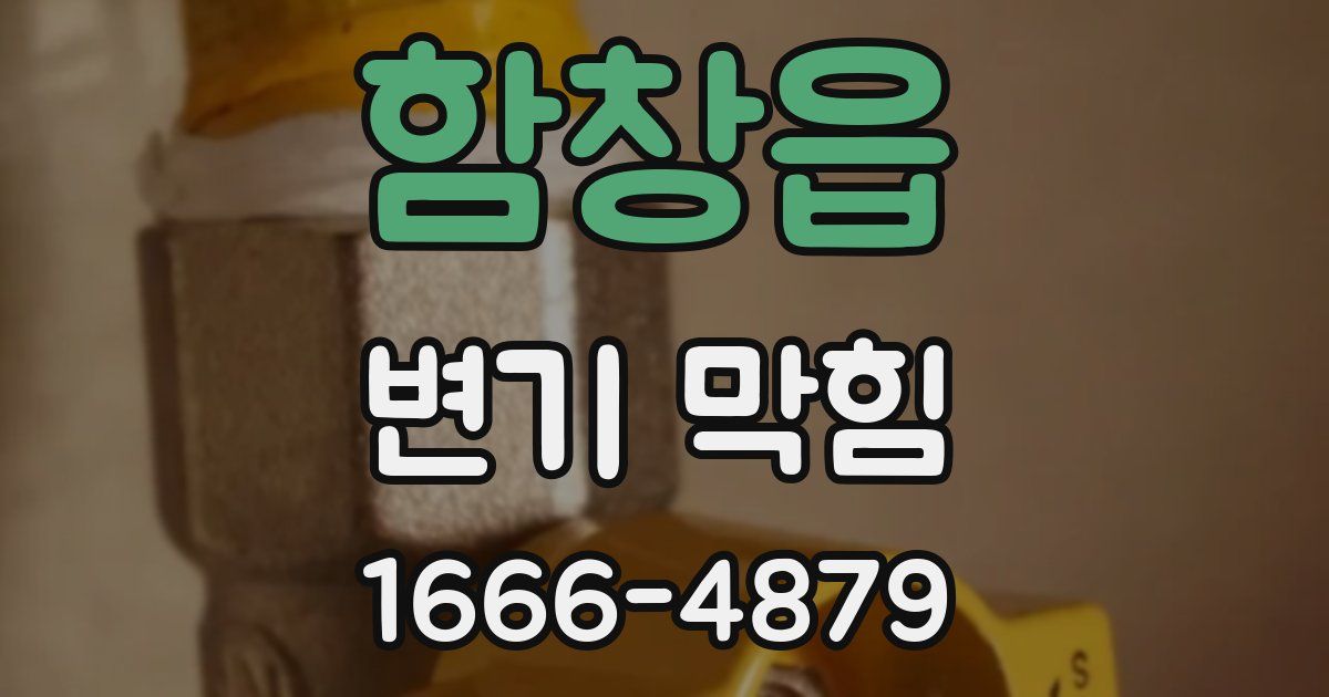 함창읍 변기 막힘