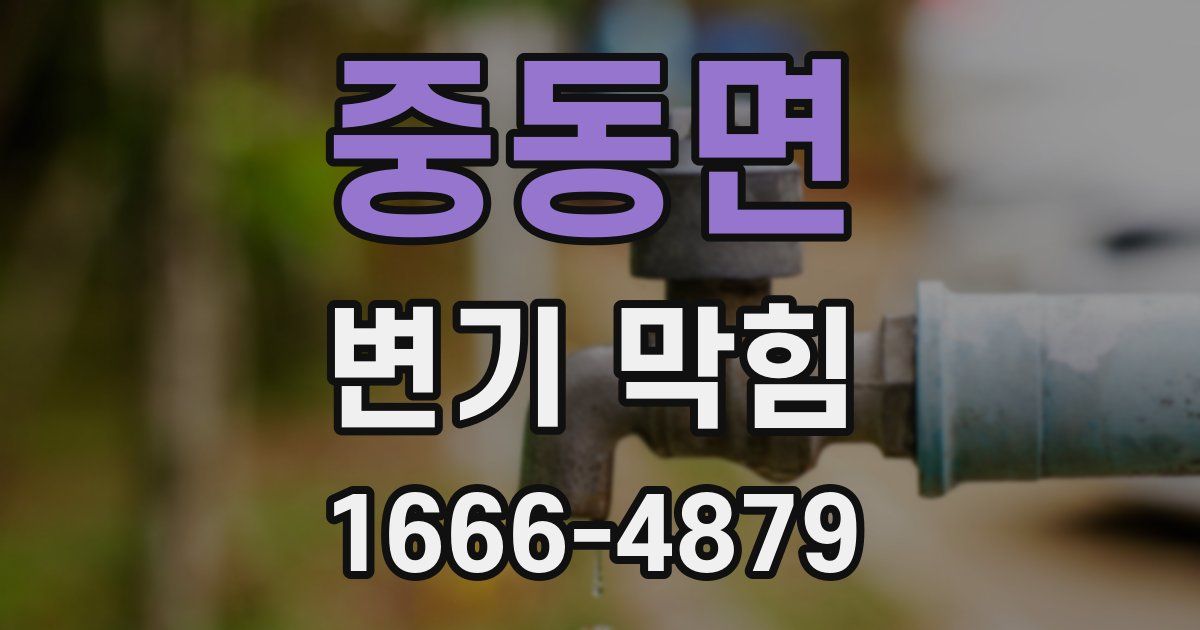 중동면 변기 막힘