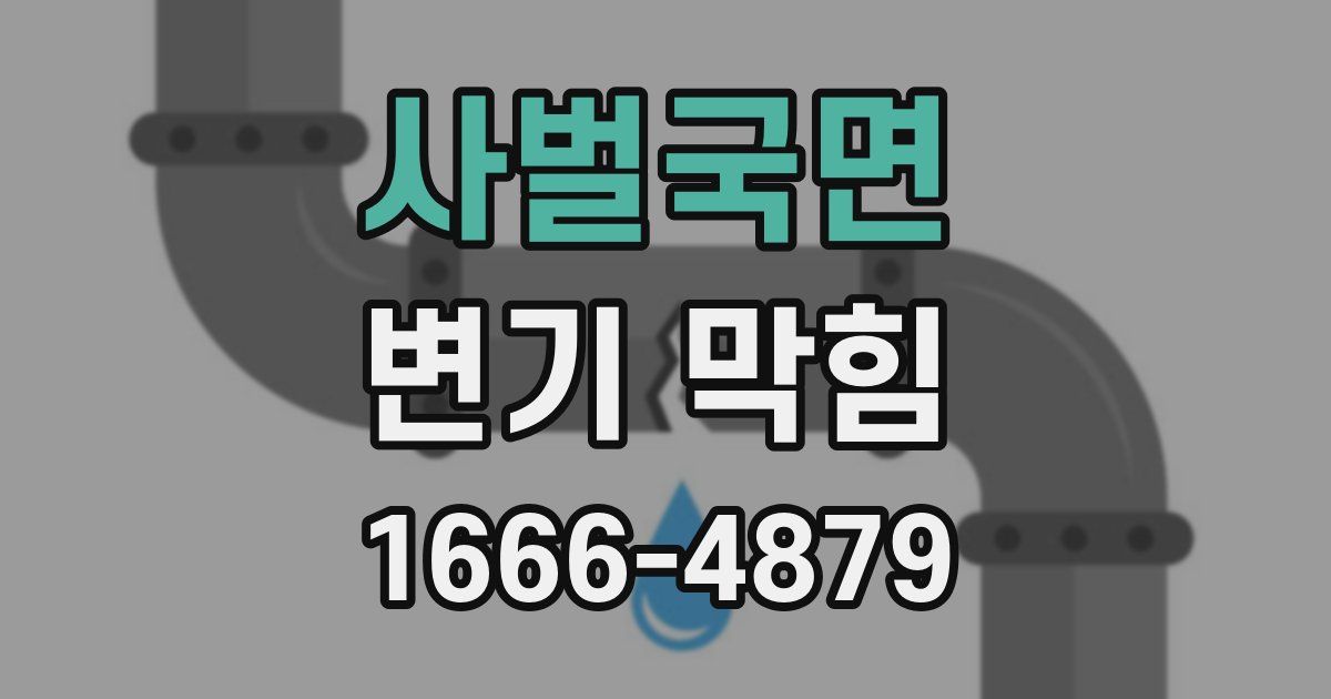 사벌국면 변기 막힘