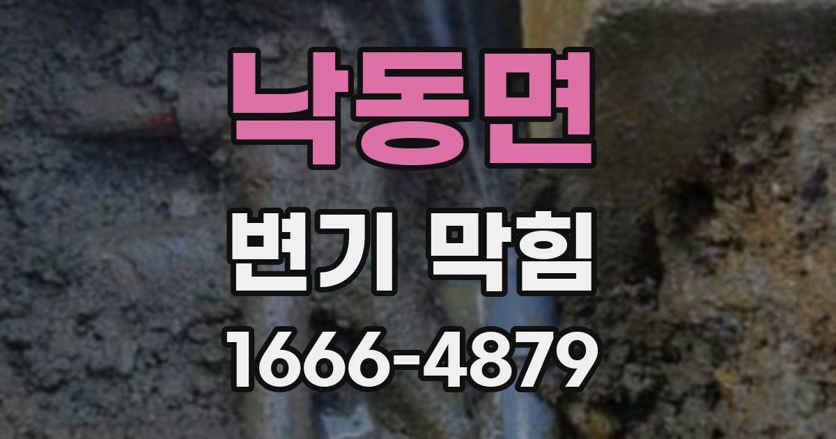 낙동면 변기 막힘