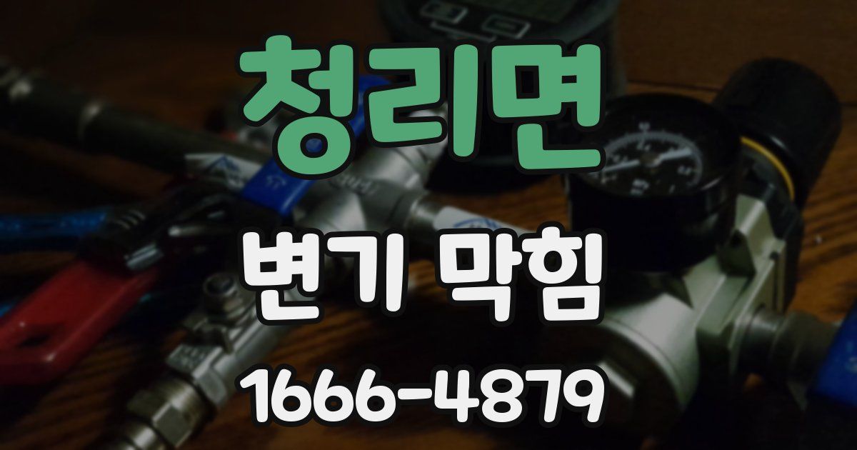 청리면 변기 막힘