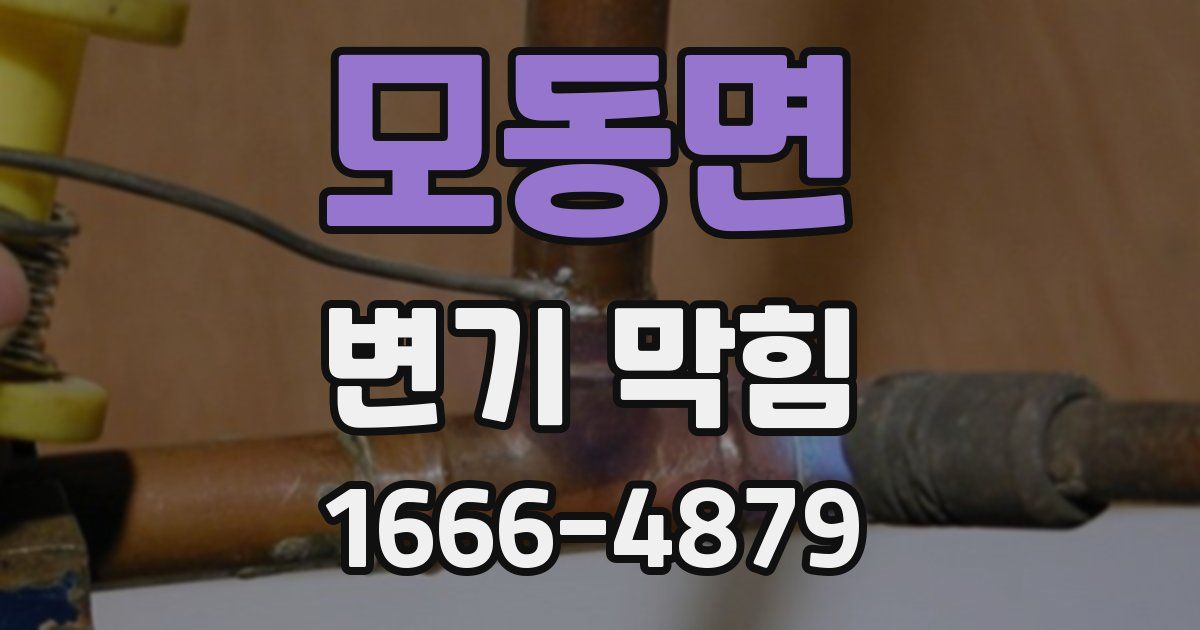모동면 변기 막힘
