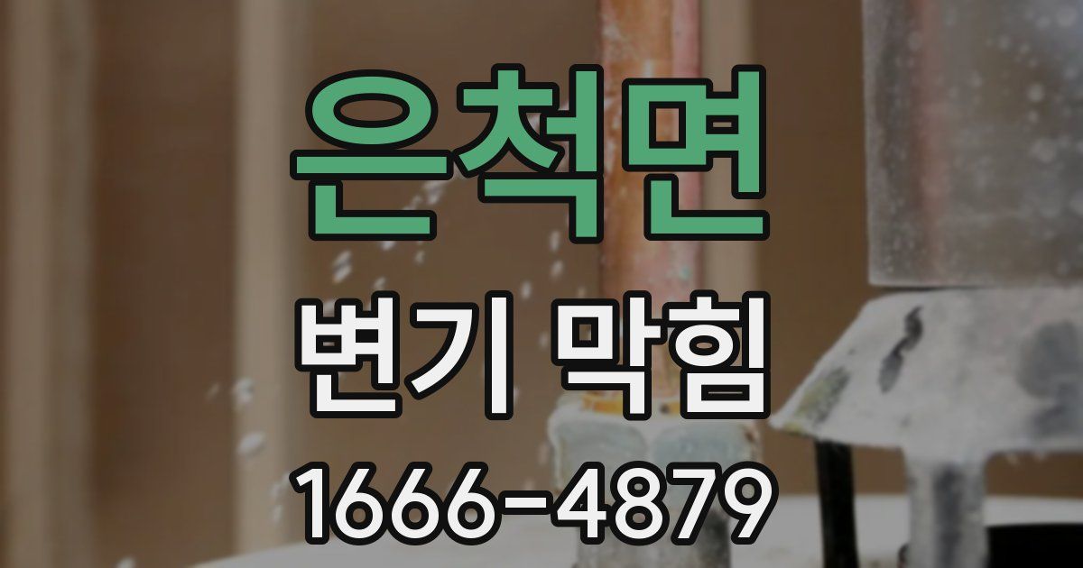 은척면 변기 막힘