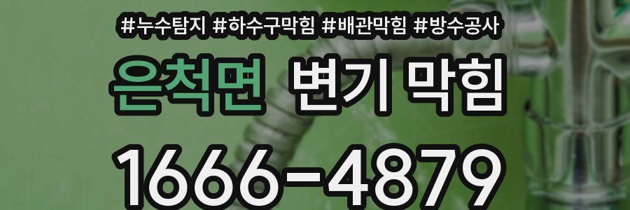 은척면 변기 막힘