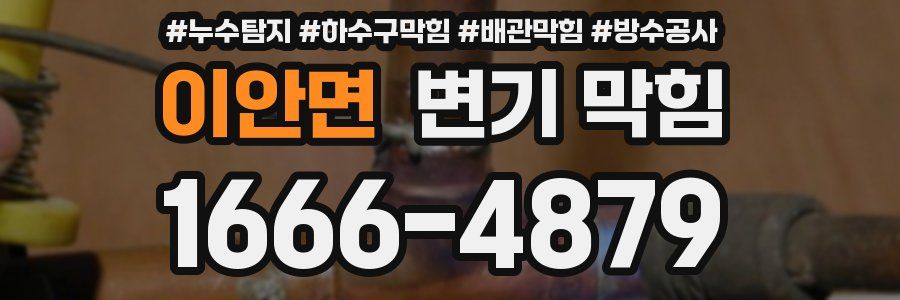 이안면 변기 막힘