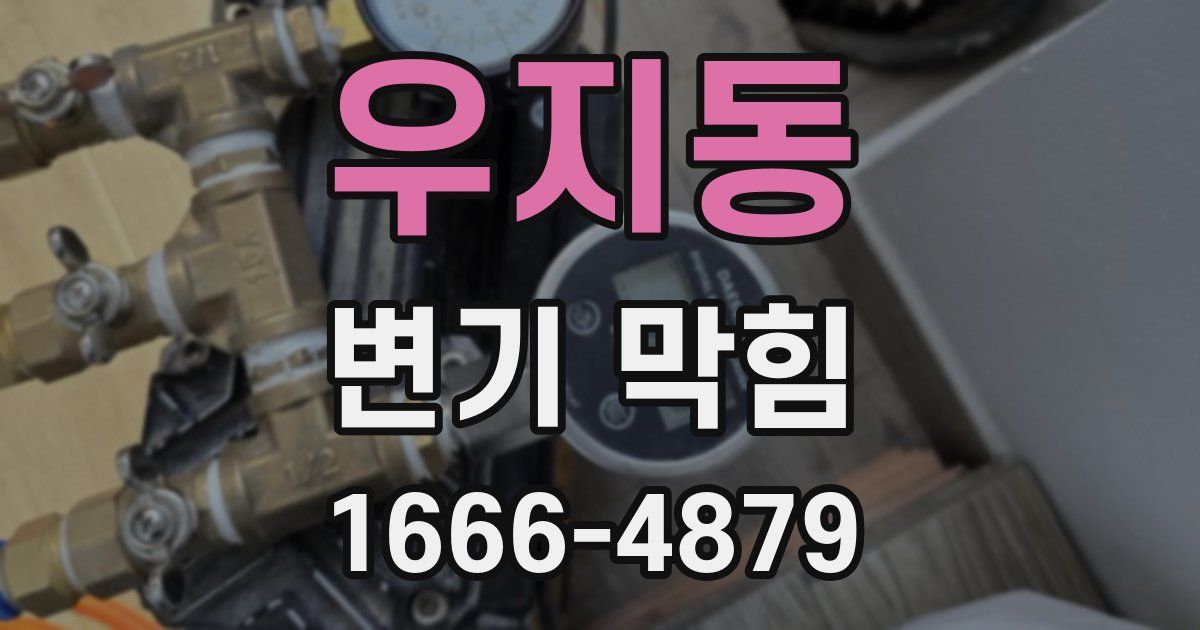 우지동 변기 막힘