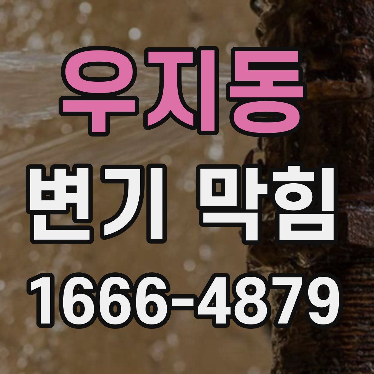 우지동 변기 막힘